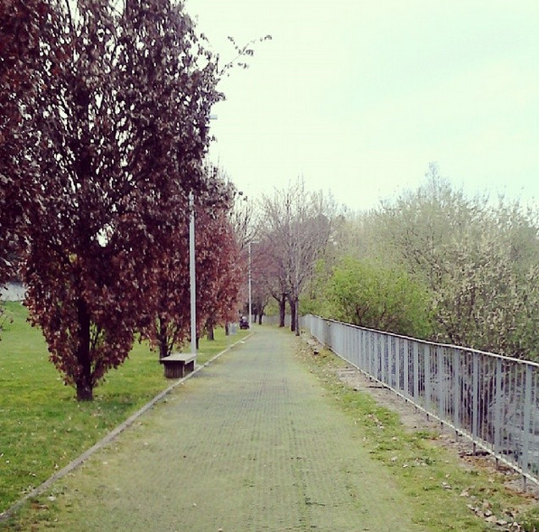 Resultado de imagem para cidade universitaria vila real