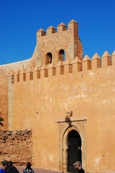 Zdjęcie bez tytułu