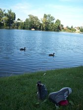 Parque al lado de la sede de la ONU