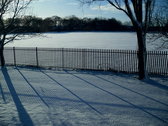Untitled photo