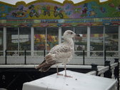 Untitled photo