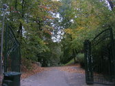 Untitled photo