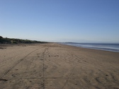 Untitled photo