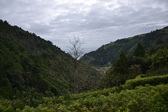 Untitled photo