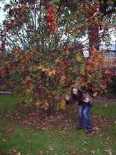botanical gardens