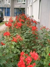 Residencia Universitaria Les Chennes D&#39;Or