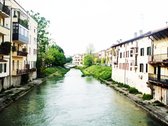 Untitled photo