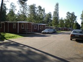 Untitled photo