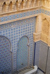 Zdjęcie bez tytułu