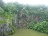 UniLivre - O habitat da biodiversidade do pensamento | UniLivre