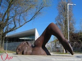 Untitled photo