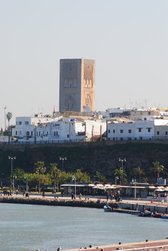 Zdjęcie bez tytułu