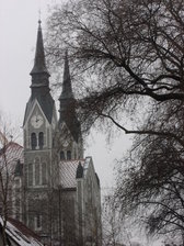 Zdjęcie bez tytułu