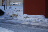Untitled photo