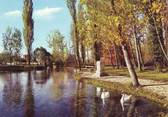 Untitled photo