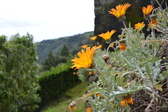 Untitled photo