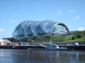 The Sage