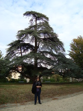 Untitled photo