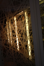 Untitled photo