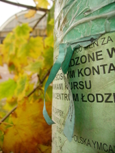 Lodz, esa ciudad gris de la que estamos enamorados :)