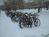 bicycle park-winter