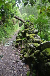 Untitled photo