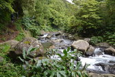 Untitled photo