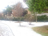 Untitled photo