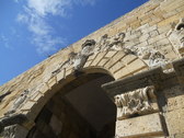 Untitled photo