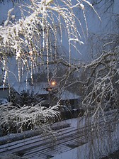 A cold moment in Lodz