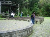 UniLivre - O habitat da biodiversidade do pensamento | UniLivre