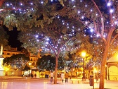 Plaza de La Merced
