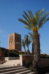 Zdjęcie bez tytułu