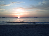 Untitled photo