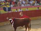 Fiestas de Valdetorres del Jarama