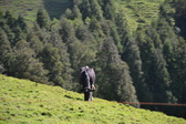 Untitled photo