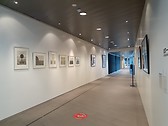 Artwork in passage, 2020