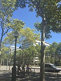 Av. Diagonal