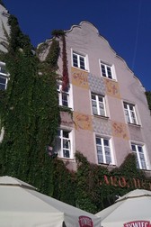 Untitled photo