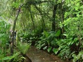 UniLivre - O habitat da biodiversidade do pensamento | UniLivre