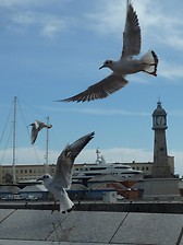 Barceloneta