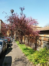 Beautiful Bologna in Spring_01