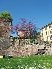 Beautiful Bologna in Spring_02
