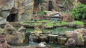 bioparc
