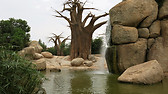 bioparc
