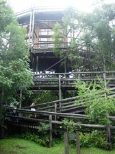 UniLivre - O habitat da biodiversidade do pensamento | UniLivre