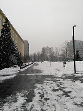campus