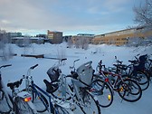 campus