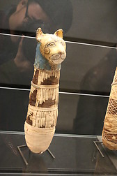 Cat mummy