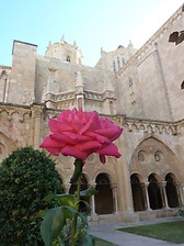 Catedral (4)